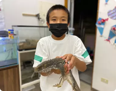 生き物との触れ合い